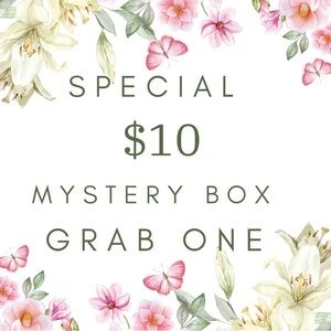$10 MYSTERY BOX Plus Size 26 W
